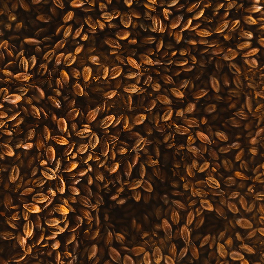 a large pile of seeds that are brown